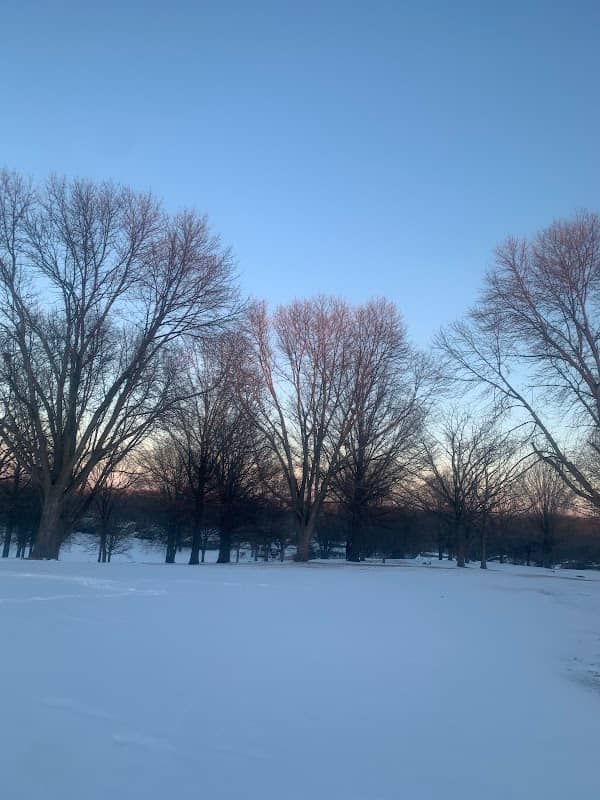 Bowman Woods Park - Image 2