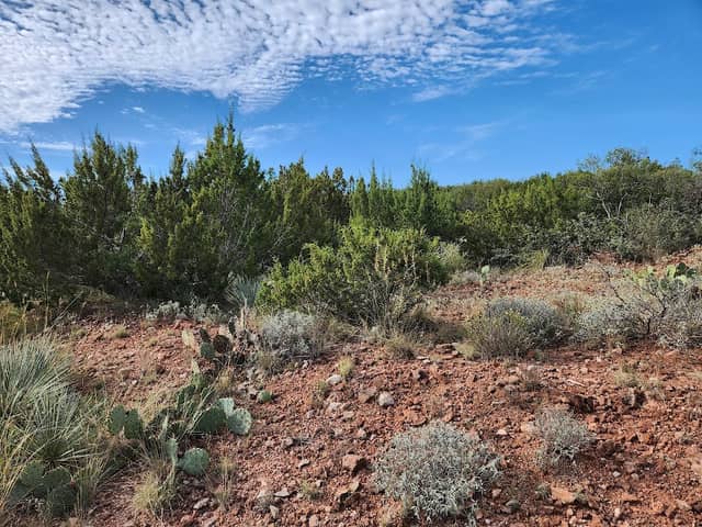 KOA Trail - Image 1