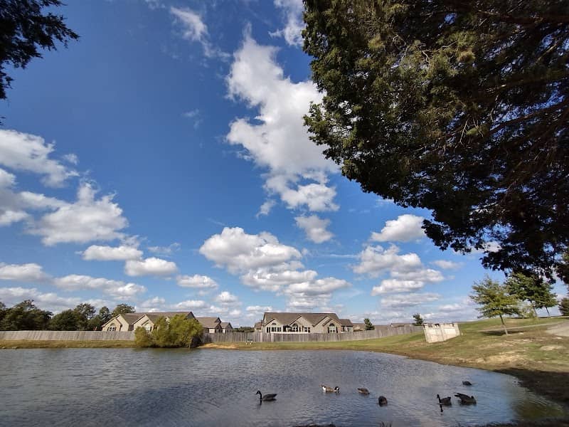 Olive Branch City Park - Image 3