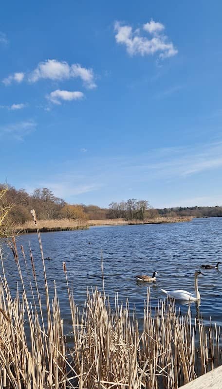 Fleet Pond - Image 2