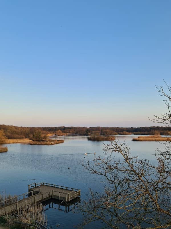 Fleet Pond - Image 1