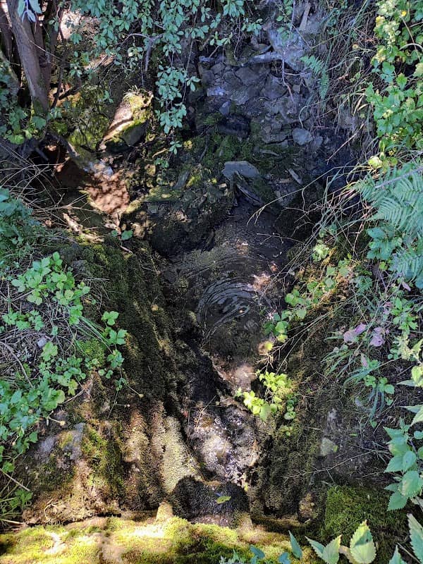 Schlierbachquelle - Image 1