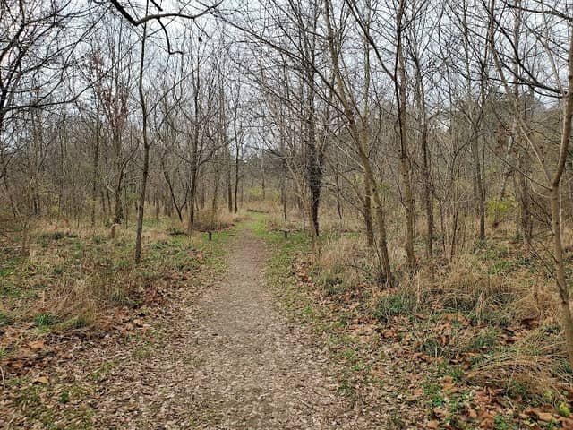 Wolsing Woods Trails - Image 2