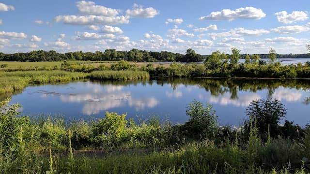 Wayside Park - Image 2