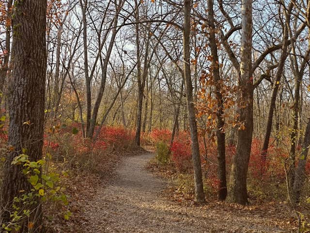 Shoal Creek - Image 1