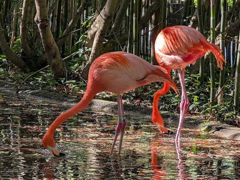 Salisbury Zoological Park - Image 3