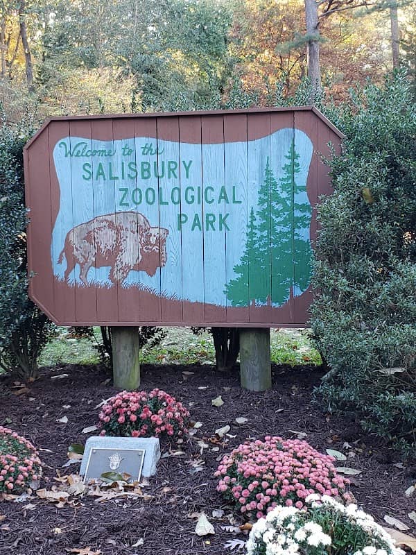 Salisbury Zoological Park - Image 2
