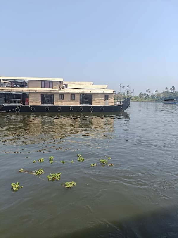Thottunkal backwaters - Image 2