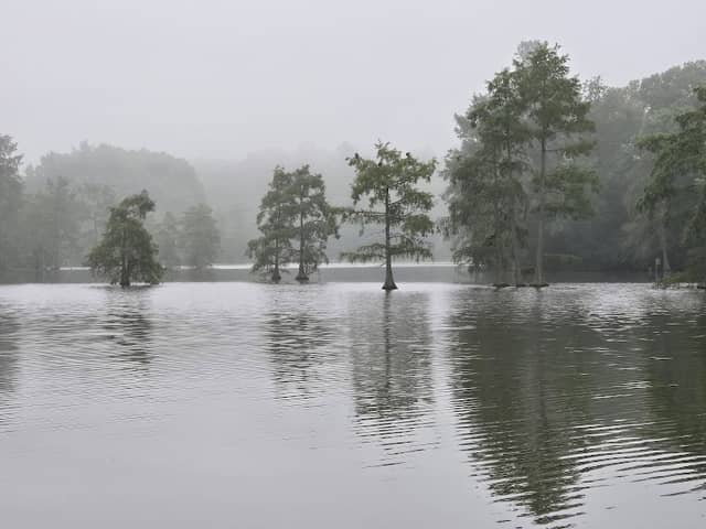 Cypress Point Disc Golf Course - Image 2