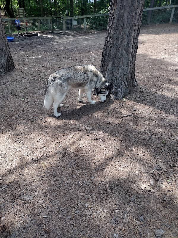 Crozet Dog Park - Image 1