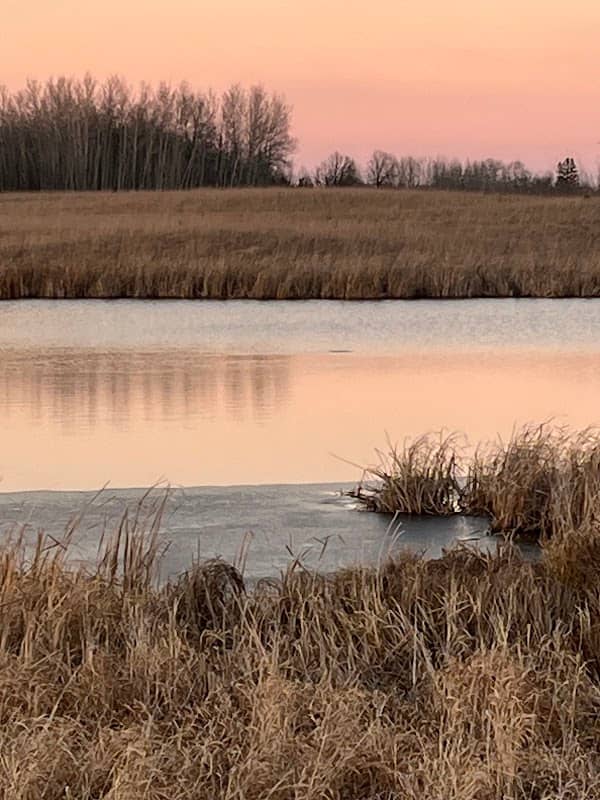 Jenkins Waterfowl Production Area - Image 1