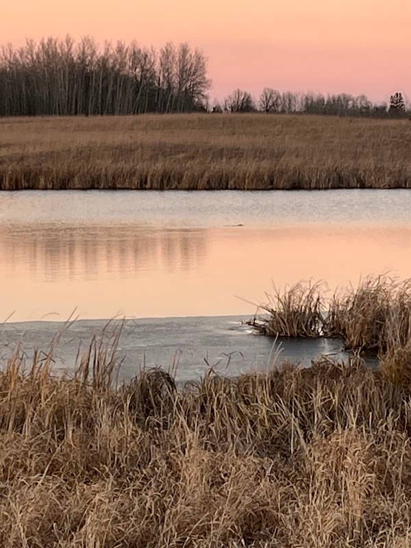 Jenkins Waterfowl Production Area - Image 2