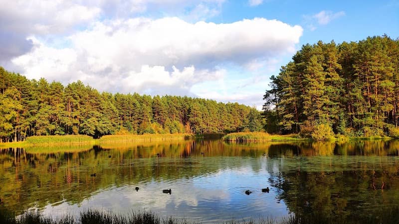 Park Ural'skikh Dobrovol'tsev - Image 1