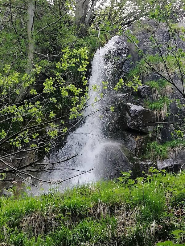 Cascate del salto dell'acqua - Image 1