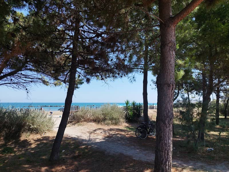 Spiaggia libera Pescara - Image 2