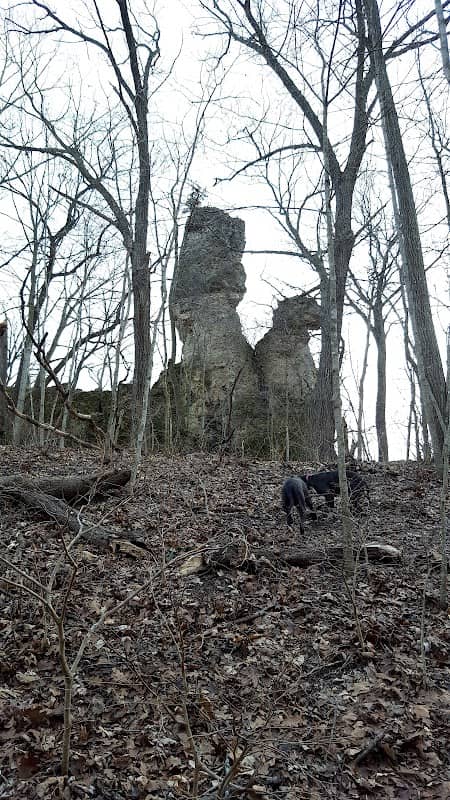 Indian Bluffs Wildlife Management Area - Image 2