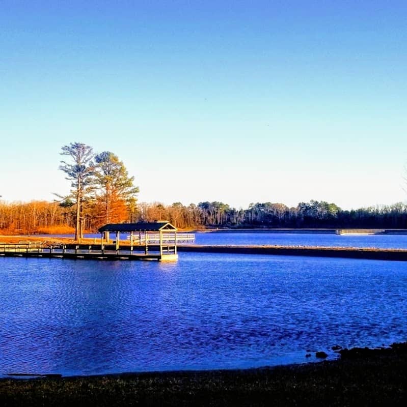Lake Lamar Bruce - Image 2
