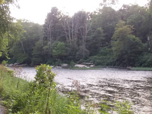 Beaver Creek State Forest - Image 2