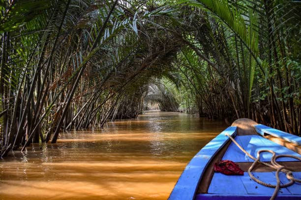The Mangrove - Image 2