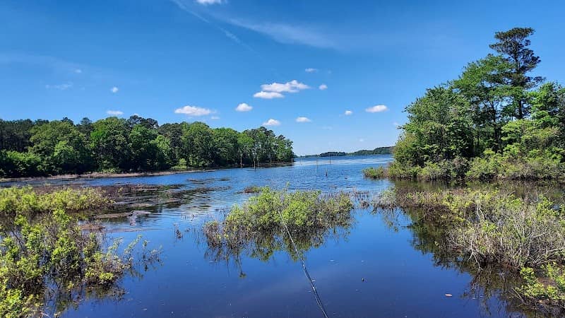 Lake Columbia - Image 1