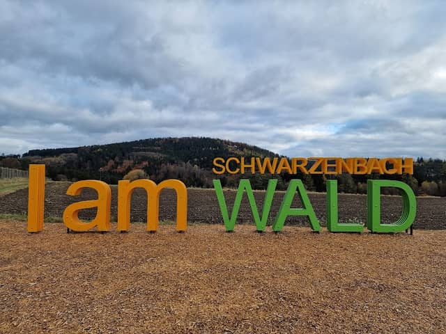 Wald Sign - Image 1
