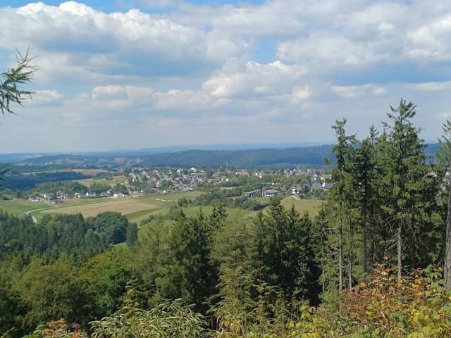 Wald Sign - Image 2