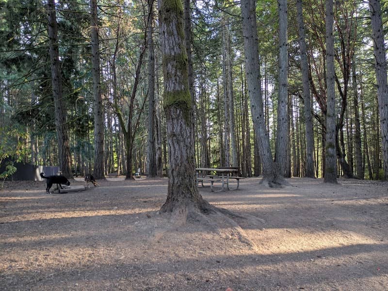Strawberry Hill Park / Off-leash Dog Park - Image 1