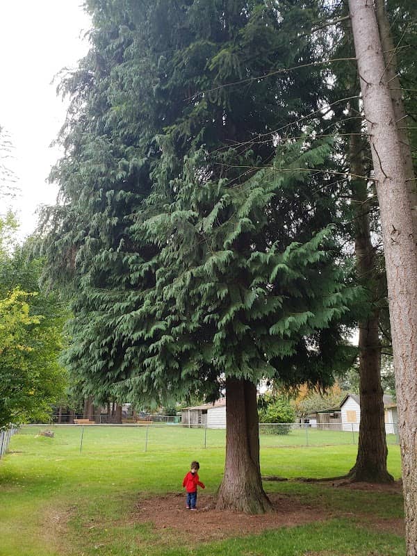 J. Rudy York Memorial Park - Image 1