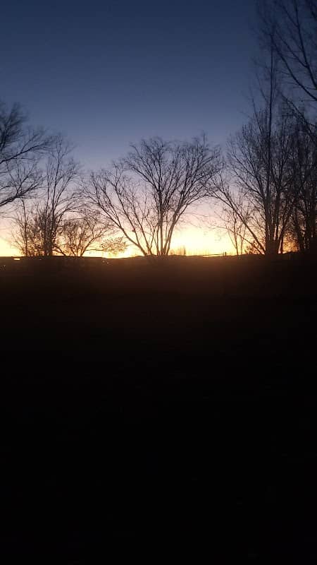 Liberty Pond - Image 1
