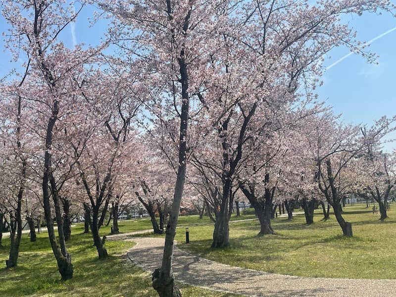 Sakuranomori Park - Image 1