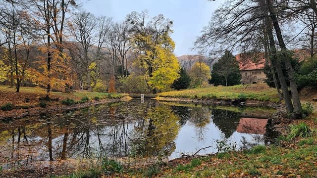 Schloss Park - Image 2