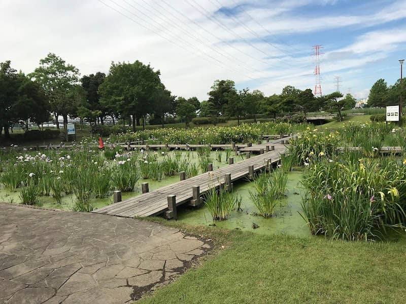 ショウブ園 - Image 1