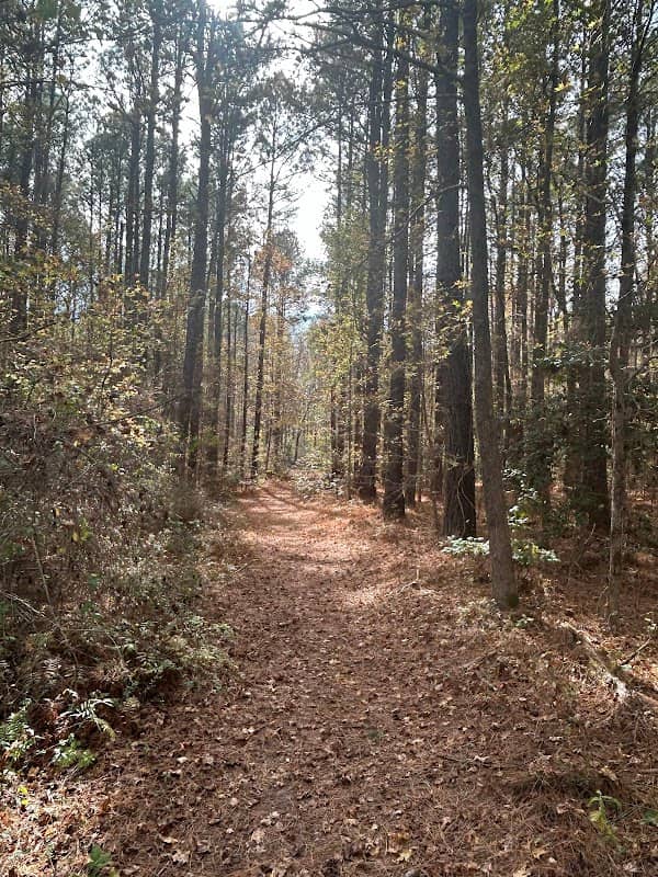 Cross Country Trail - Image 2