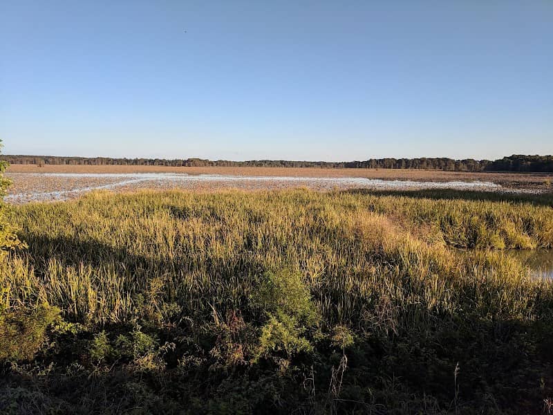 Big Lake National Wildlife Refuge - Image 2