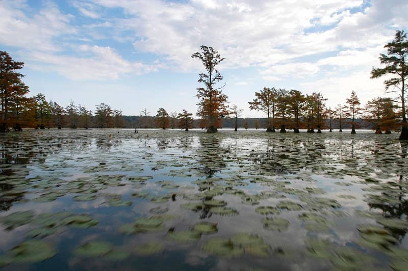 Big Lake National Wildlife Refuge - Image 1