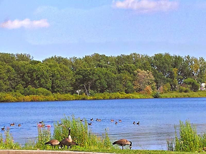 Powderhorn Lake - Image 2