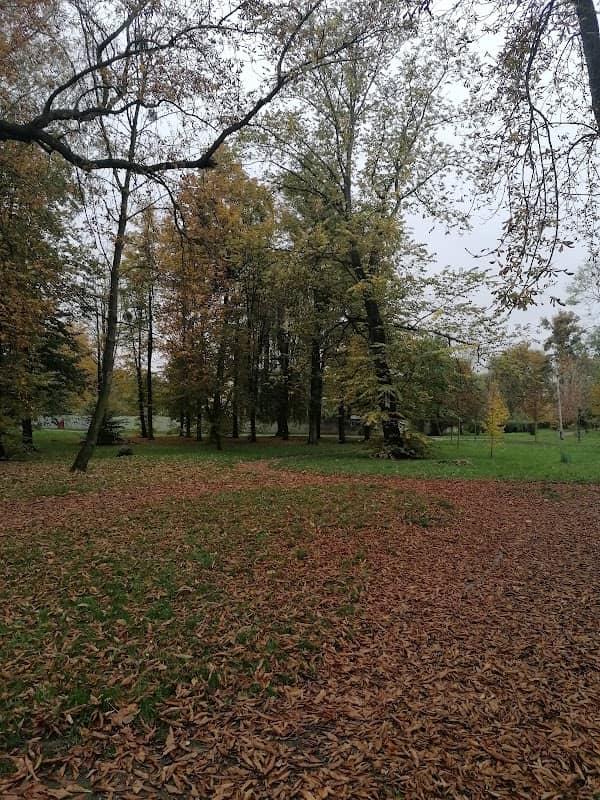 Park Jubileuszowy - Image 1