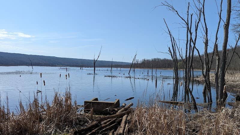Conesus Lake Inlet - Image 1