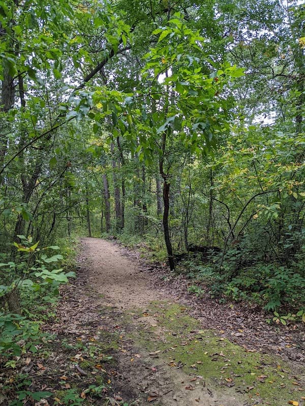 Legacy Park - Image 2
