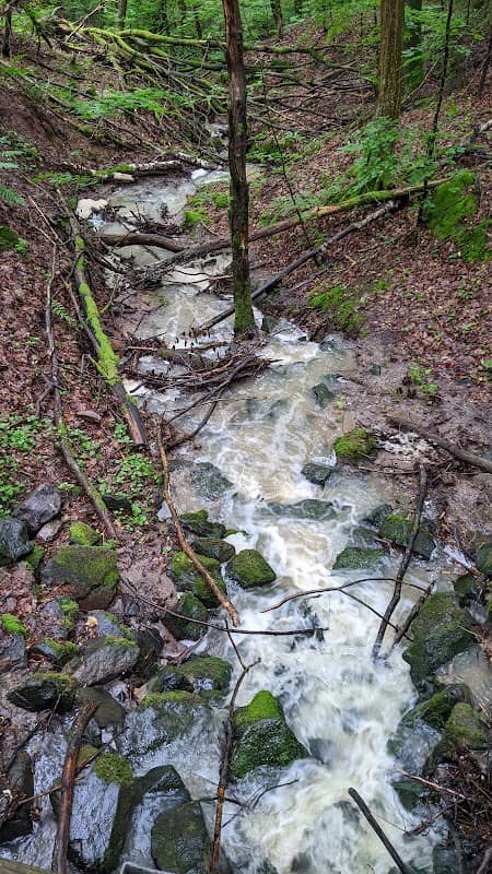 Holzbrücke über die Wolfsschlucht - Image 1