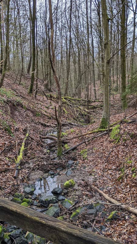 Holzbrücke über die Wolfsschlucht - Image 2