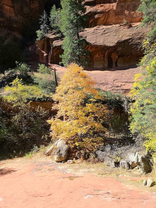 West Fork - Image 1