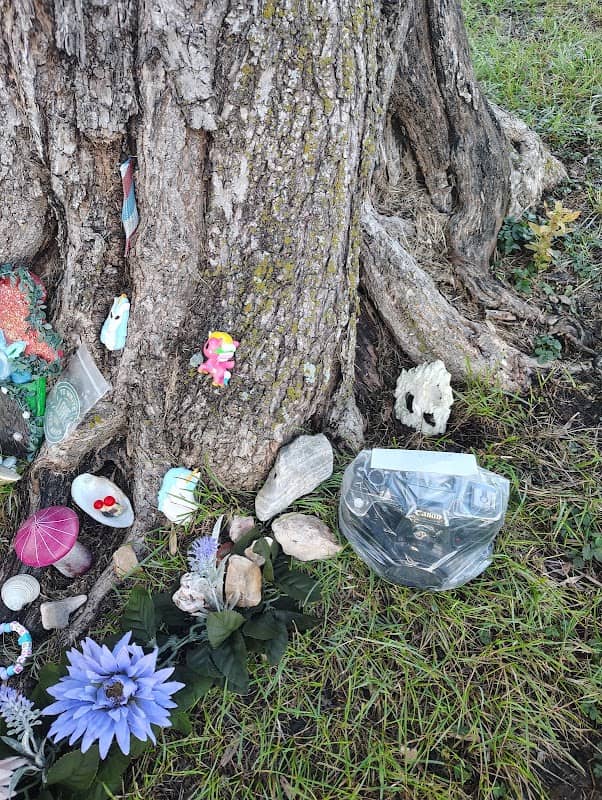 Owasso Giving Tree - Image 3