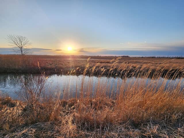 Fish Point Wildlife Refuge - Image 2
