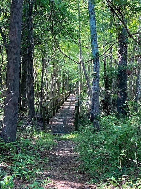 Santee National Wildlife Refuge - Image 2
