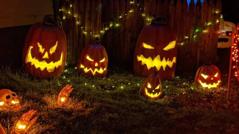 Parker Halloween Display - Image 1