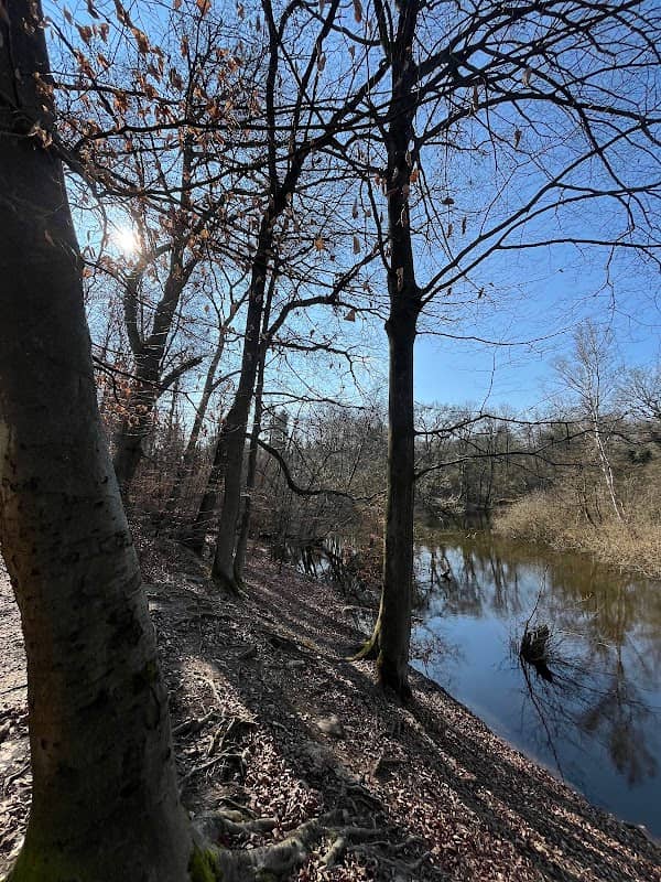 Buchrainweiher - Image 1