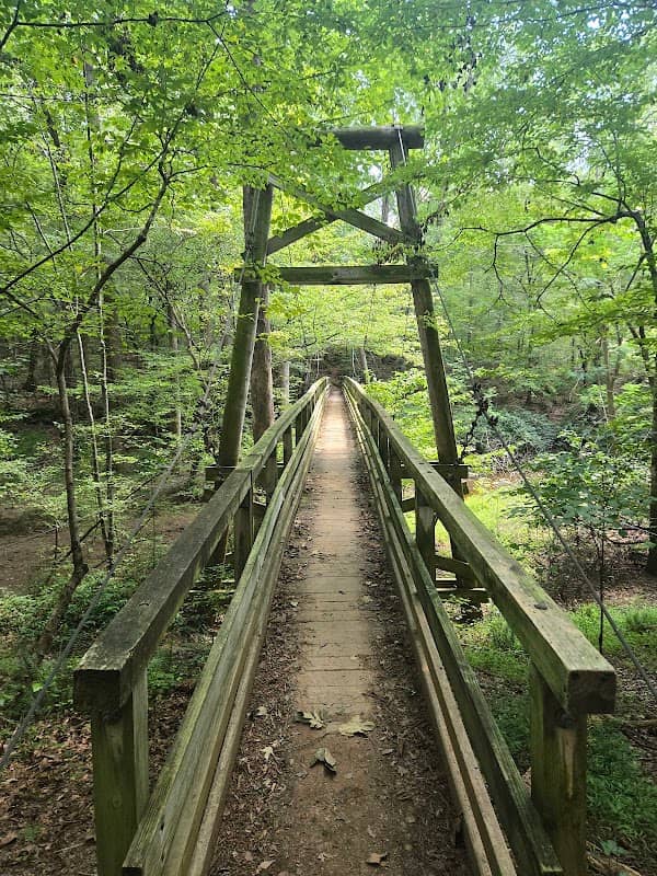 Chicopee Woods Nature Preserve - Image 1