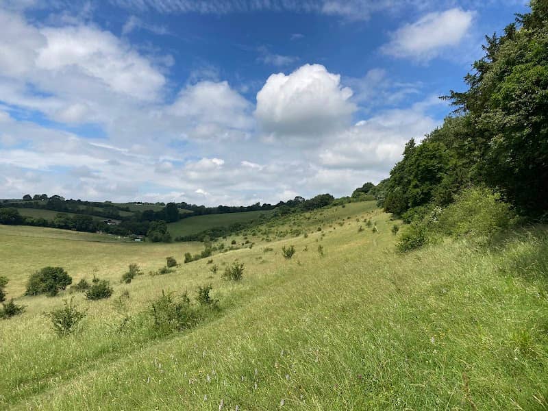 Chiltern Nature - Yoesden - Image 1