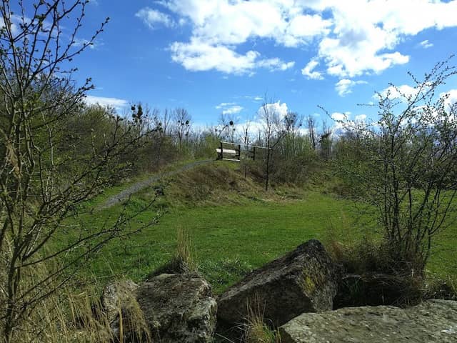 Aussichtshügel am Neuen Land - Image 1